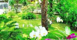 Biệt thự Thảo Điền bán Biệt thự Thảo Điền bán