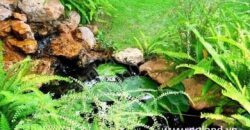 Biệt thự Thảo Điền bán Biệt thự Thảo Điền bán