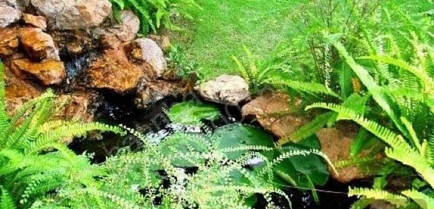 Biệt thự Thảo Điền bán