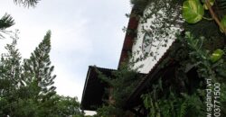 Bán biệt thự Thảo Điền