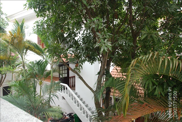 Biệt thự mặt tiền đường Trần Ngọc Diện tại – Nhà Đất Sài Gòn | Biệt thự Thảo Điền Quận 2