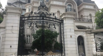 Biệt thự VIP đường Đặng Hữu Phổ