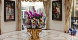 Biệt thự VIP đường Đặng Hữu Phổ