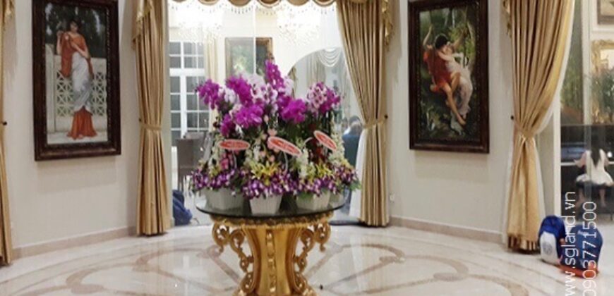 Biệt thự VIP đường Đặng Hữu Phổ