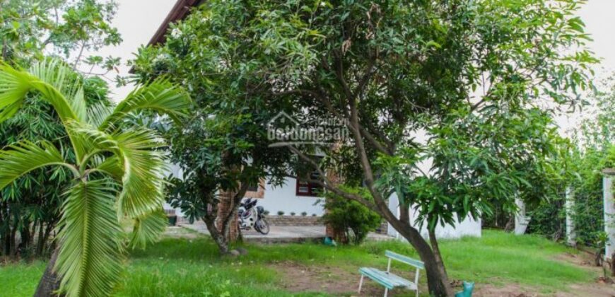 Bán đất Thảo Điền