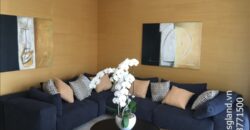 Bán biệt thự Holm Thảo Điền