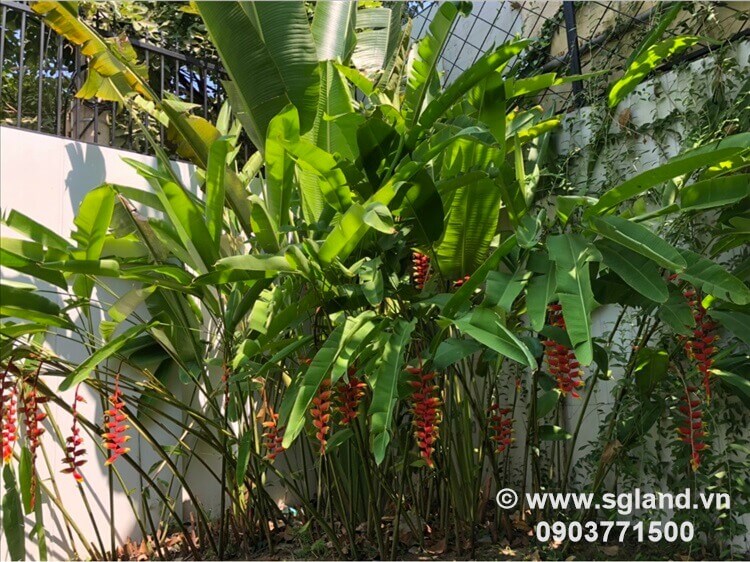 Bán biệt thự Thảo Điền 82 Bán biệt thự Thảo Điền tại – Nhà Đất Sài Gòn | Biệt thự Thảo Điền Quận 2