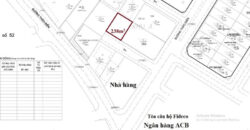 Bán đất khu biệt thự Fideco Thảo Điền