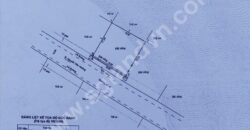 Bán đất Biệt thự Thảo Điền