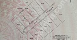 Bán đất Thảo Điền hướng Đông Nam Bán đất Thảo Điền hướng Đông Nam