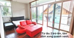 Bán biệt khu đường Trần Ngọc Diện Bán biệt khu đường Trần Ngọc Diện