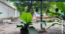 Bán đất mặt tiền Trần Ngọc Diện