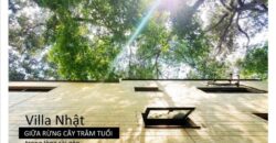 Biệt thự kiểu Nhật