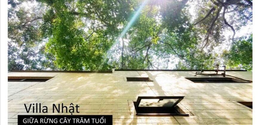 Biệt thự kiểu Nhật