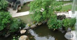 Bán biệt khu đường Trần Ngọc Diện Bán biệt khu đường Trần Ngọc Diện