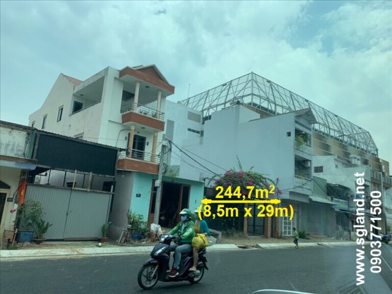 đất thảo điền