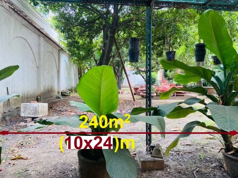 Bán đất mặt tiền đường Nguyễn Văn Hưởng tại – Nhà Đất Sài Gòn | Biệt thự Thảo Điền Quận 2