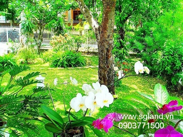 Biệt thự Thảo Điền bán tại – Nhà Đất Sài Gòn | Biệt thự Thảo Điền Quận 2