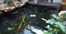 Bán nhà Thảo Điền Quận 2 | Ngôi nhà đẹp, chất lượng, đẳng cấp 5 sao