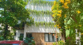 Bán nhà Quận 9 gần Suối Tiên