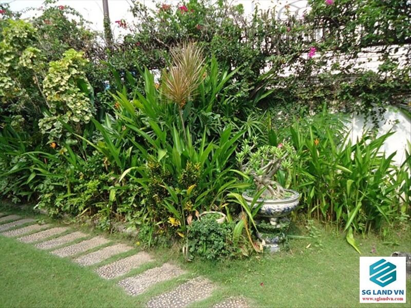 Bán biệt thự 33 Giang Văn Minh 100 Bán biệt thự 33 Giang Văn Minh tại – Nhà Đất Sài Gòn | Biệt thự Thảo Điền Quận 2