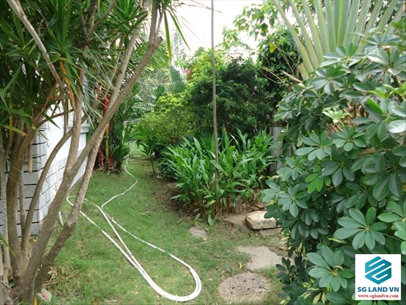 Bán biệt thự 33 Giang Văn Minh 118 Bán biệt thự 33 Giang Văn Minh tại – Nhà Đất Sài Gòn | Biệt thự Thảo Điền Quận 2