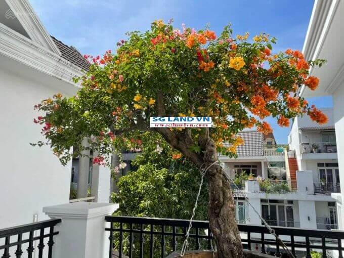 Bán biệt thự khu 216 Nguyễn Văn Hưởng 79 Bán biệt thự khu 216 Nguyễn Văn Hưởng