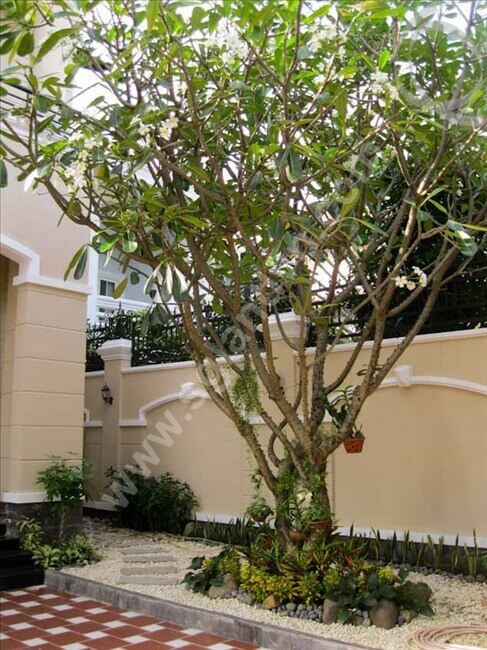 Bán biệt thự đường Tống Hữu Định 90 Bán biệt thự đường Tống Hữu Định tại – Nhà Đất Sài Gòn | Biệt thự Thảo Điền Quận 2