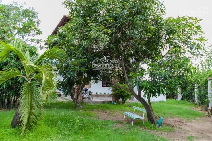 Bán đất Thảo Điền tại – Nhà Đất Sài Gòn | Biệt thự Thảo Điền Quận 2