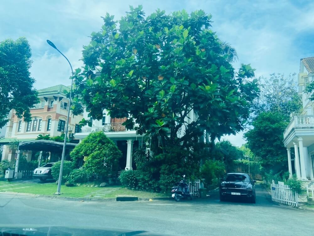 Biệt Thự Khu Lan Anh Quận 2: Tất Cả Những Gì Bạn Cần Biết tại – Nhà Đất Sài Gòn | Biệt thự Thảo Điền Quận 2