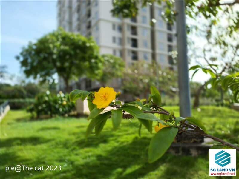 Bán nhà khu dân cư gia hòa quận 9 9 Bán nhà khu dân cư gia hòa quận 9 tại – Nhà Đất Sài Gòn | Biệt thự Thảo Điền Quận 2