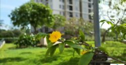 Bán nhà khu dân cư gia hòa quận 9