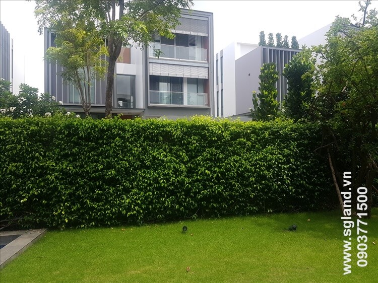 biệt thự Holm Thảo Điền