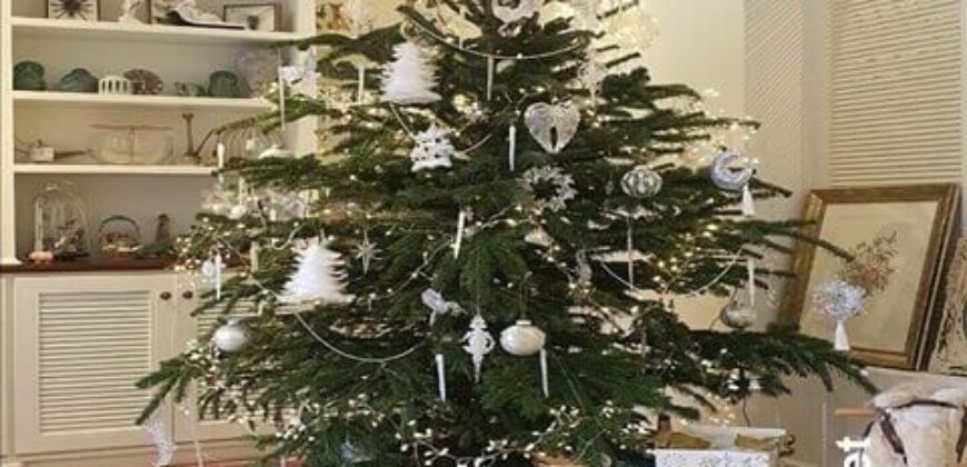 Bán biệt thự Thảo Điền khu Fideco