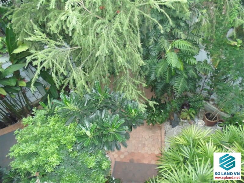 Bán đất Fideco Thảo Điền: Xây nhà theo ý thích 256 Bán đất Fideco Thảo Điền: Xây nhà theo ý thích tại – Nhà Đất Sài Gòn | Biệt thự Thảo Điền Quận 2