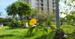 Bán chung cư Gia Hòa