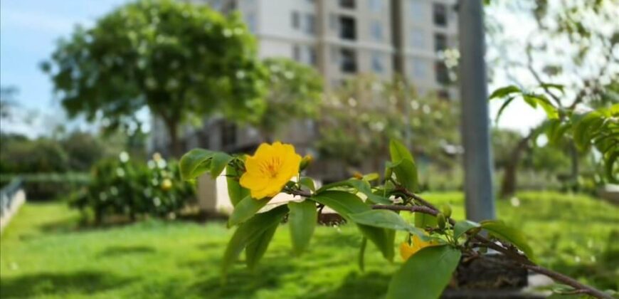 Bán chung cư Gia Hòa