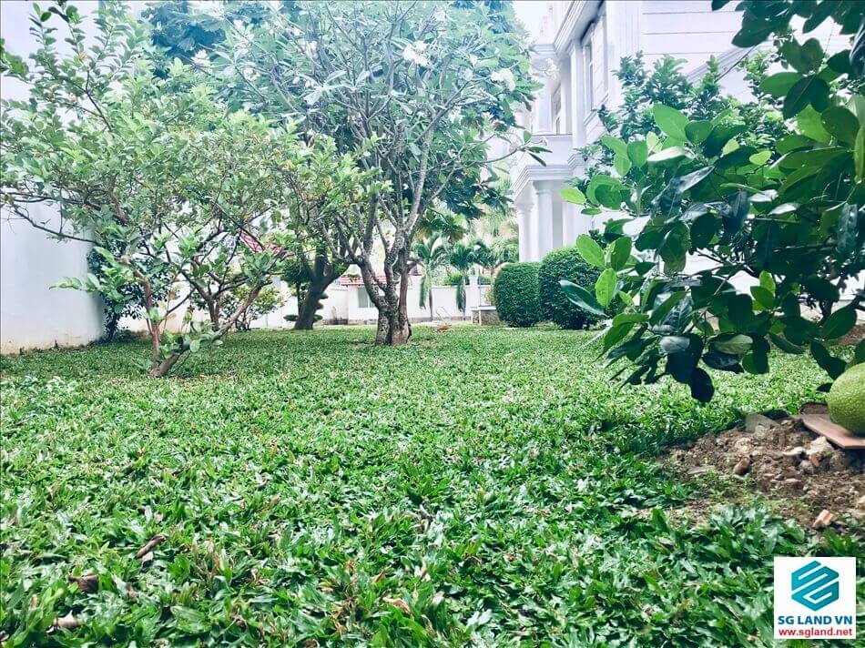 Cho thuê villa thảo điền tại – Nhà Đất Sài Gòn | Biệt thự Thảo Điền Quận 2