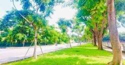 Bán Đất Khu Văn Minh Quận 2 | Mặt tiền sông nhìn ra Đảo Kim Cương cực đẹp Bán Đất Khu Văn Minh Quận 2 | Mặt tiền sông nhìn ra Đảo Kim Cương cực đẹp