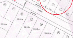 Bán Đất An Phú Quận 2 | đất đầu tư vừa ở vừa cho thuê