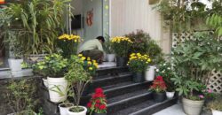 Bán căn hộ dịch vụ Quận 2 | Sản phẩm dòng tiền tốt nhất hiện nay Bán căn hộ dịch vụ Quận 2 | Sản phẩm dòng tiền tốt nhất hiện nay