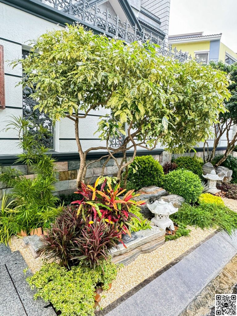 Biệt thự Thảo Điền dưới 70 tỷ 24 Biệt thự Thảo Điền dưới 70 tỷ tại Biệt thự Thảo Điền bán – Nhà Đất Sài Gòn | Biệt thự Thảo Điền Quận 2